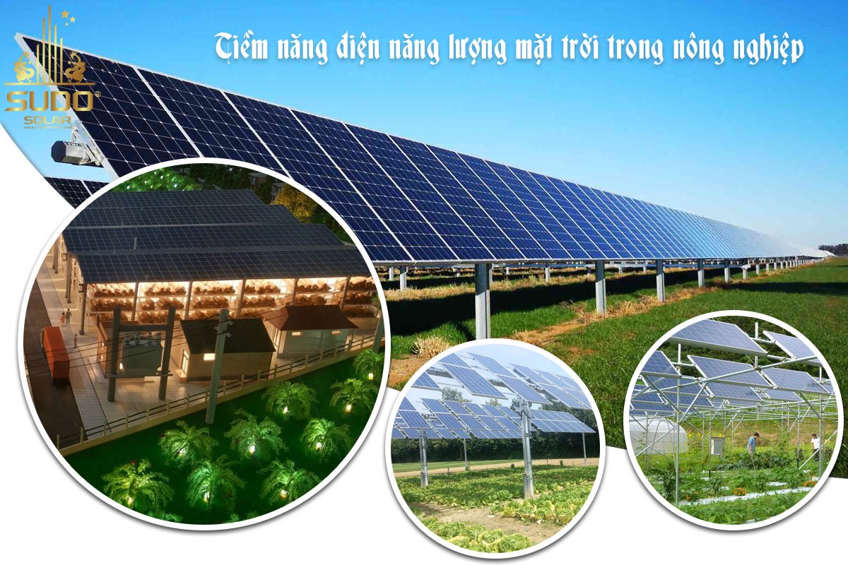 Tiềm năng điện mặt trời nông nghiệp
