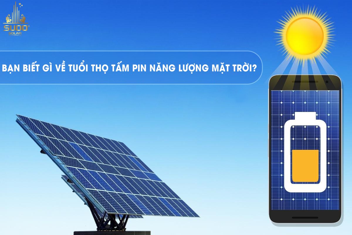Tuổi thọ tấm pin năng lượng mặt trời tối đa bao nhiêu năm
